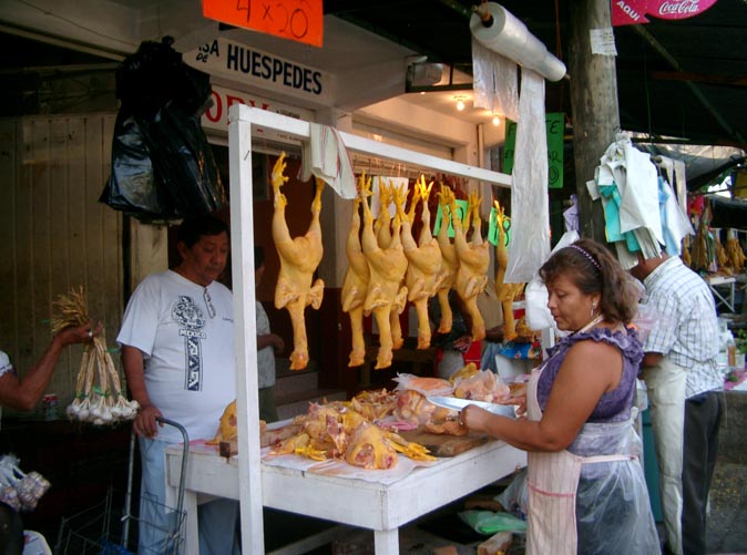 The Market, Acapulco, Tour, Guides, excursion, sighseeing, shore, trip, guide, trip, travel, agent, agency, rudy, rudi, fregoso (93)